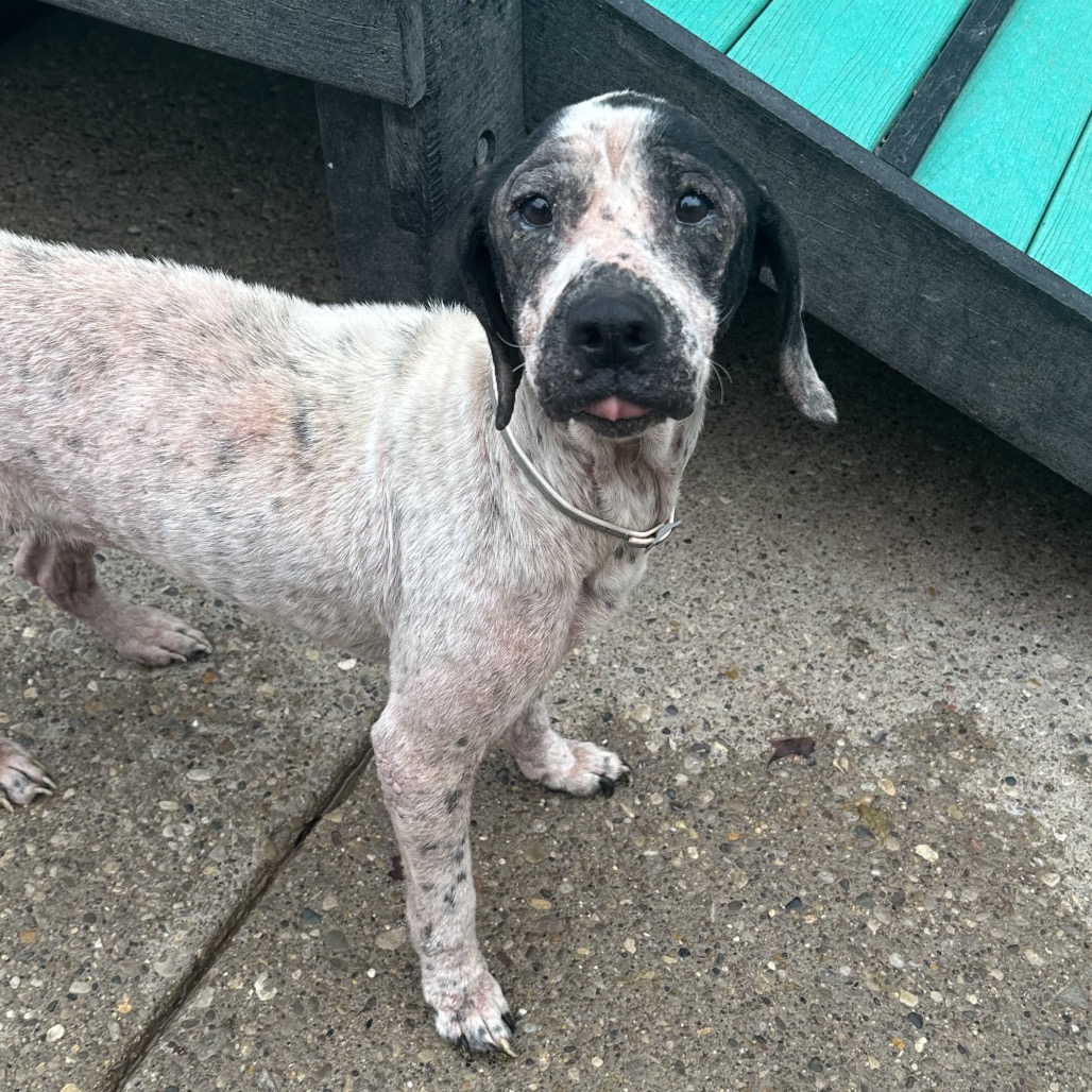 Sweet Loaf — thumbnail 4