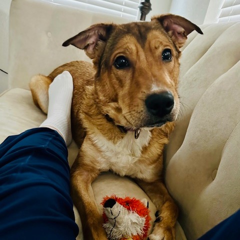 Layla — thumbnail 7