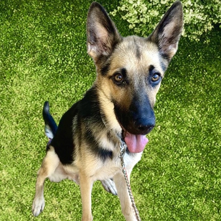 Andy — thumbnail 11