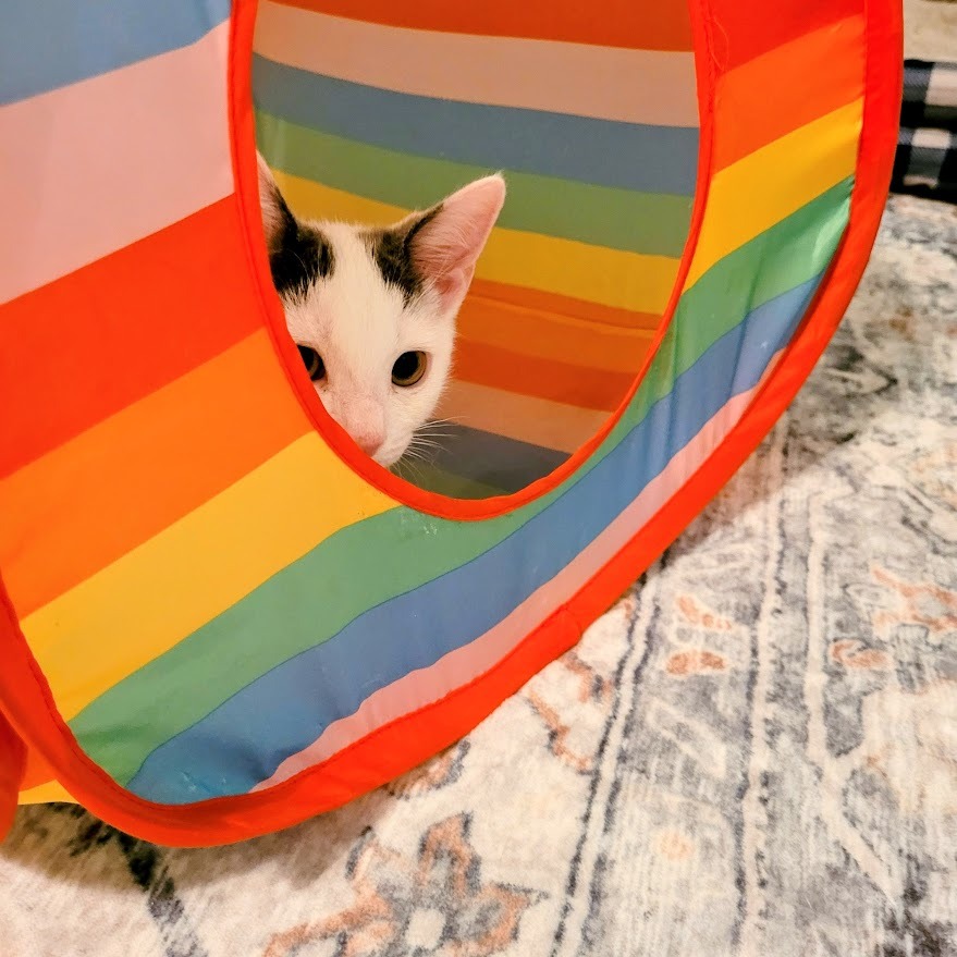 Mello — thumbnail 3