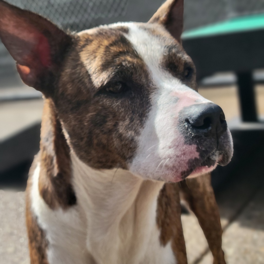 Eloise — thumbnail 3