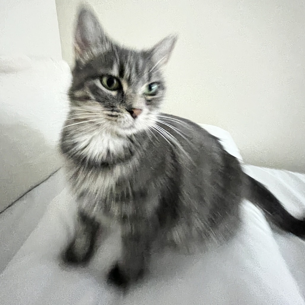 Kiara, photo 4