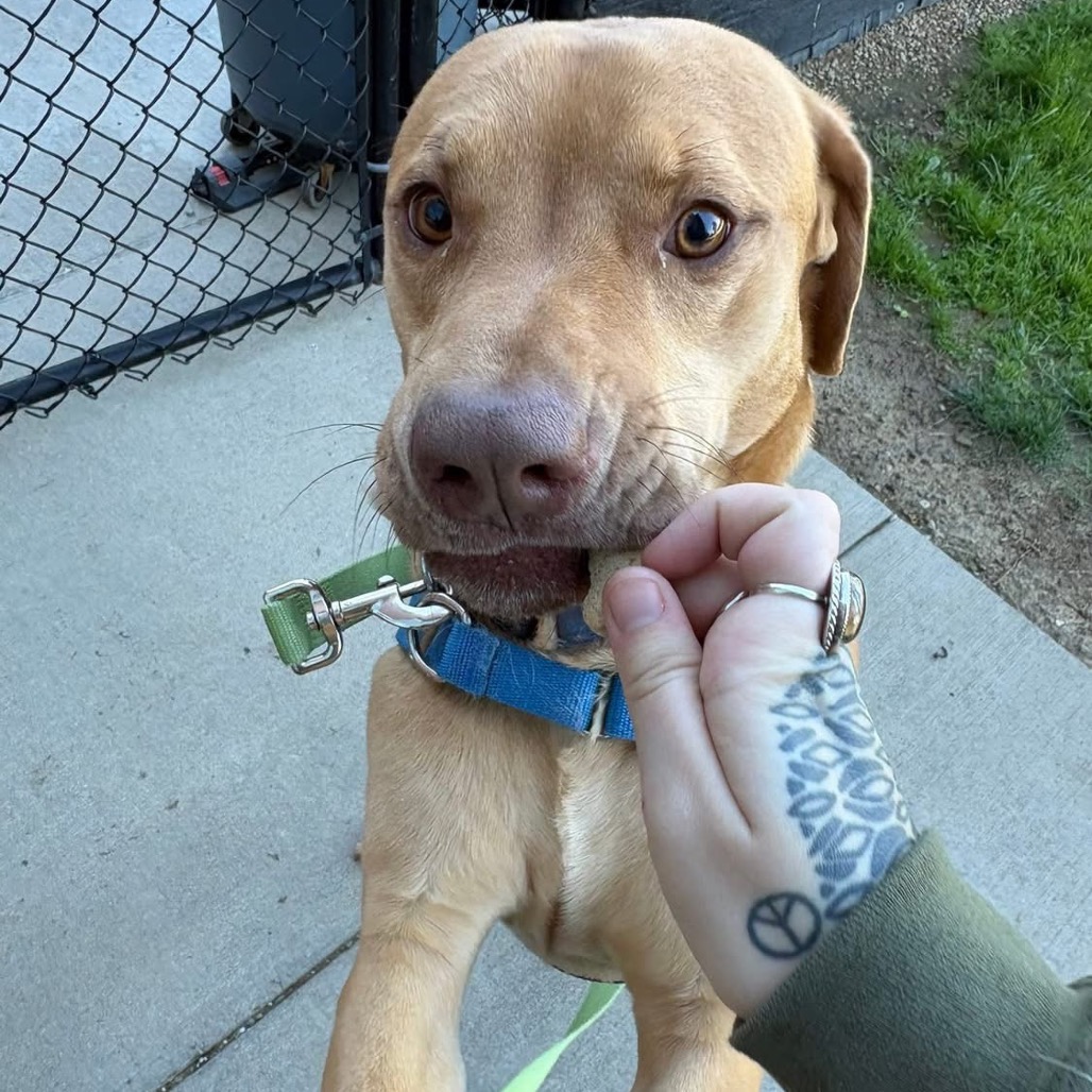 Photo of Gus 4