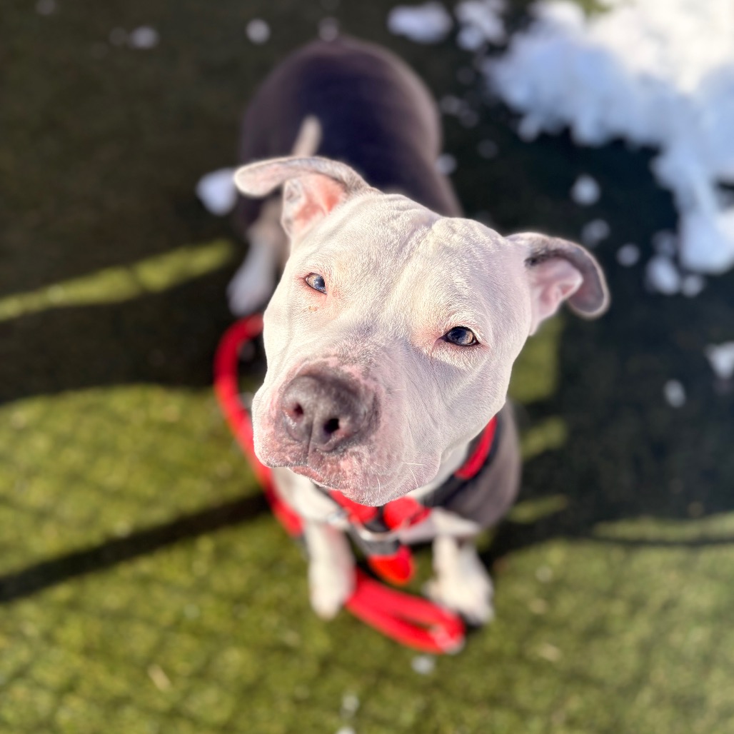 Halle Strawberry — thumbnail 2