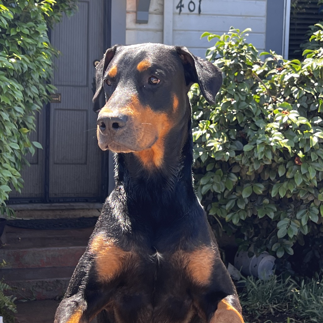 Brandon, photo 8