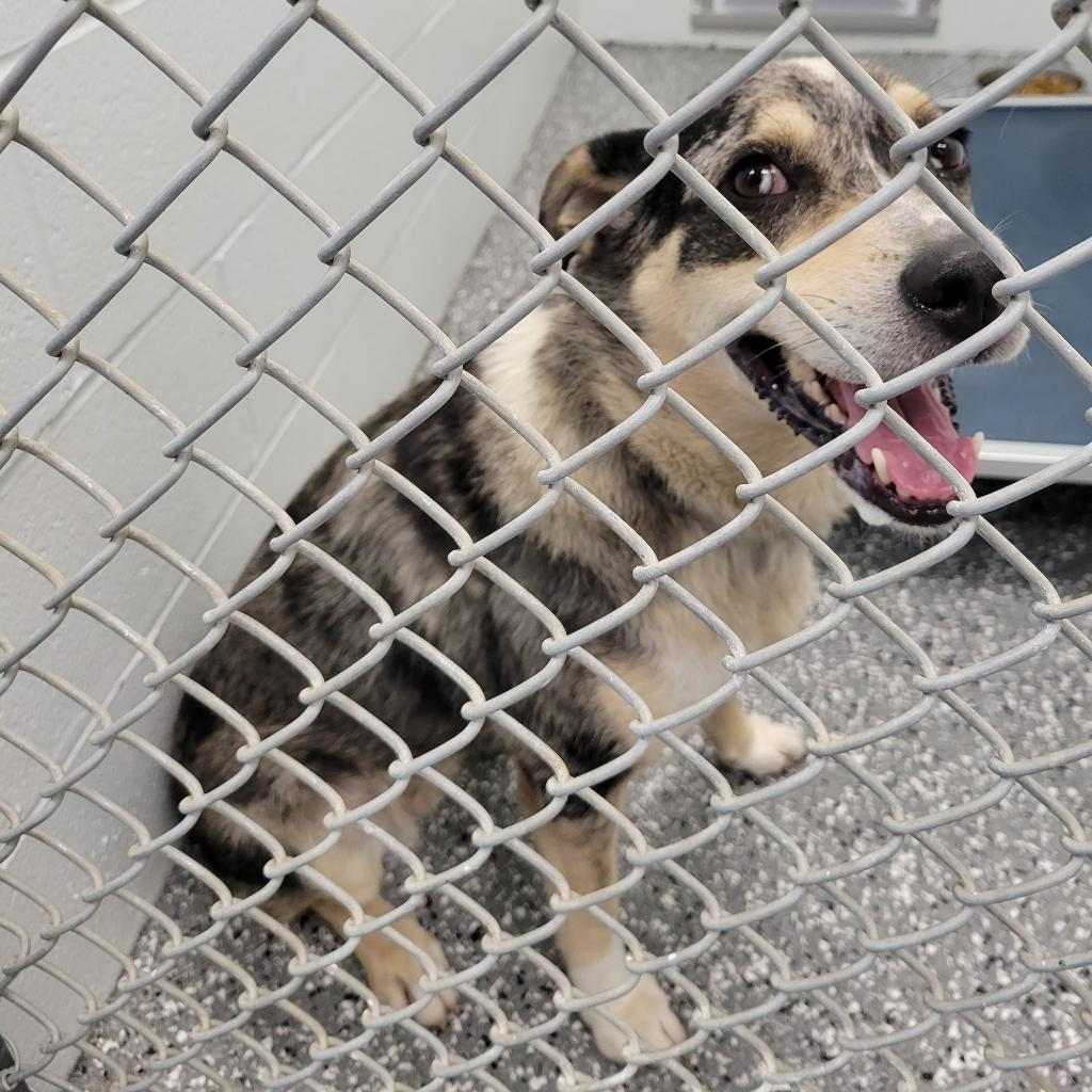 Daisy — thumbnail 2