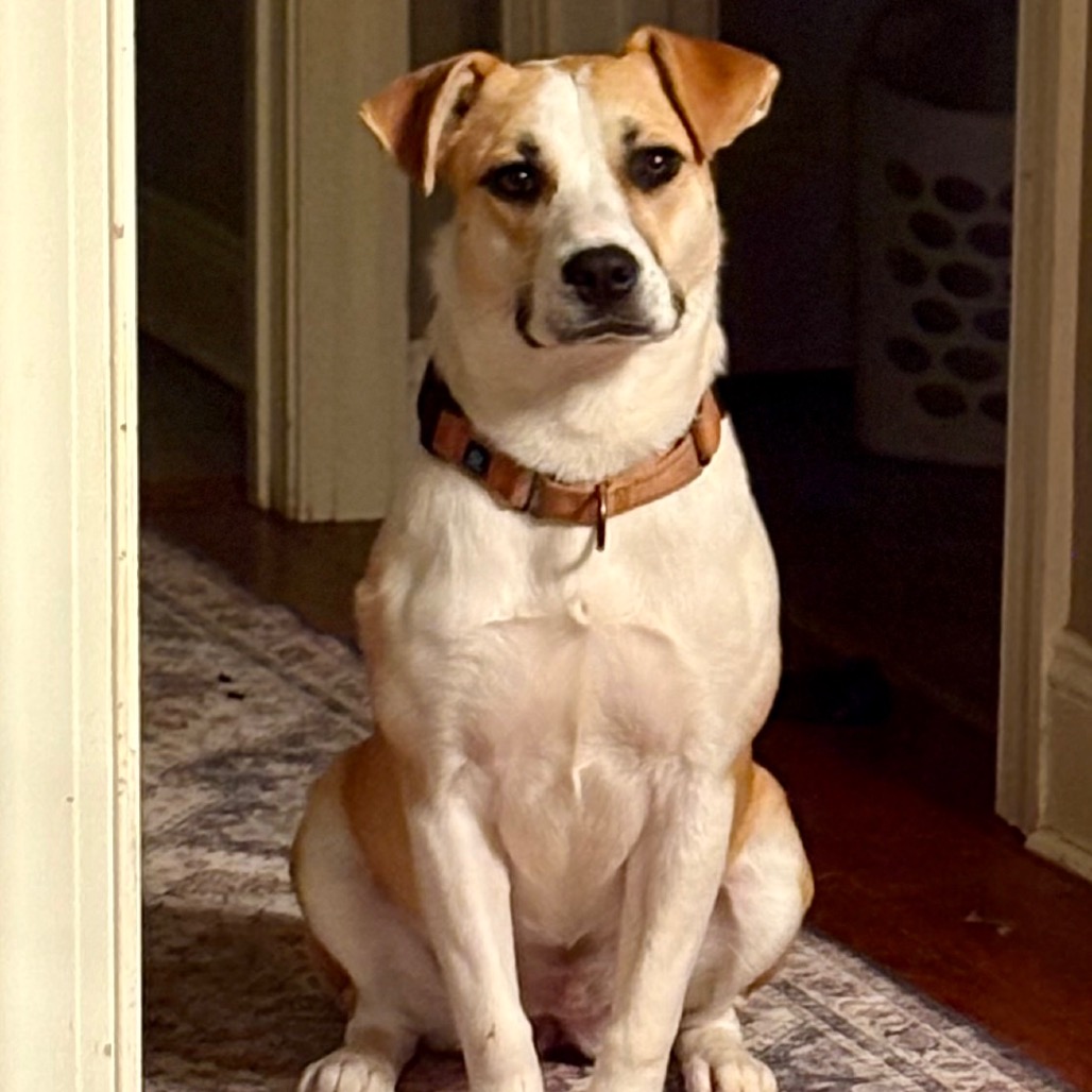 Molly — thumbnail 2