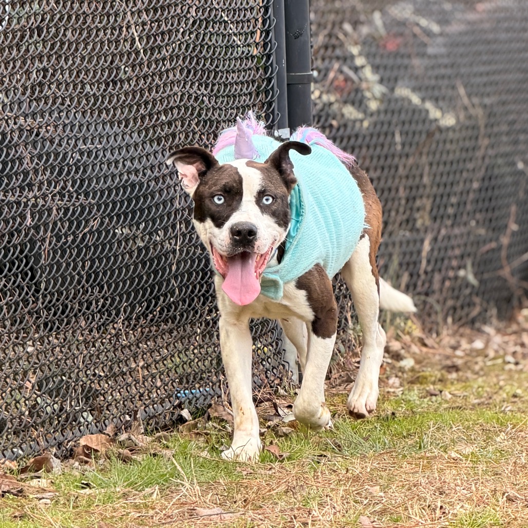 Blue — thumbnail 11