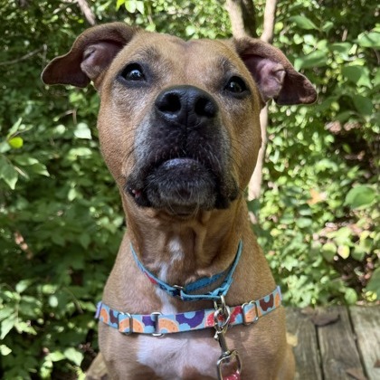 Myra — thumbnail 10