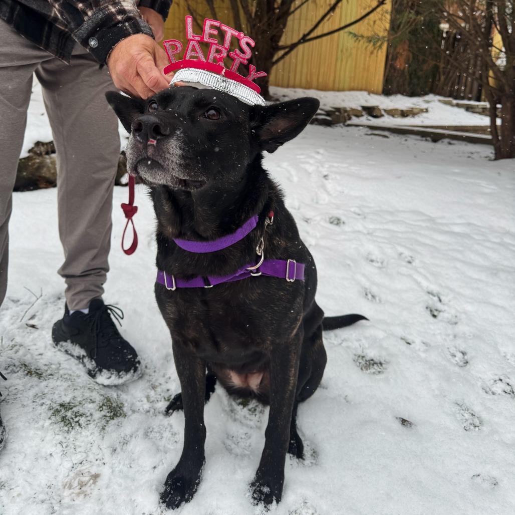 Photo of Catalina 23