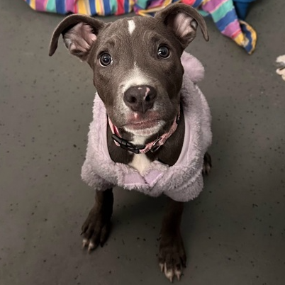 Rosie