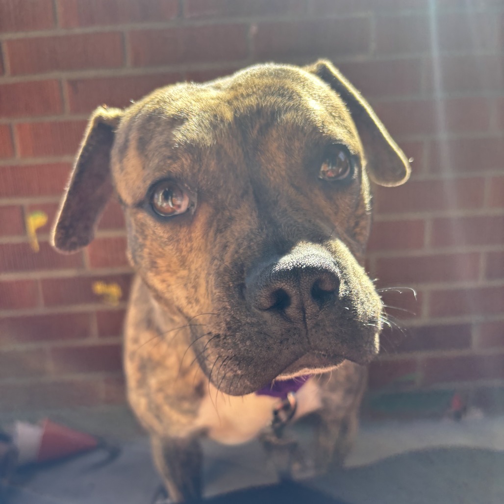 Photo of Baby Stripes 11