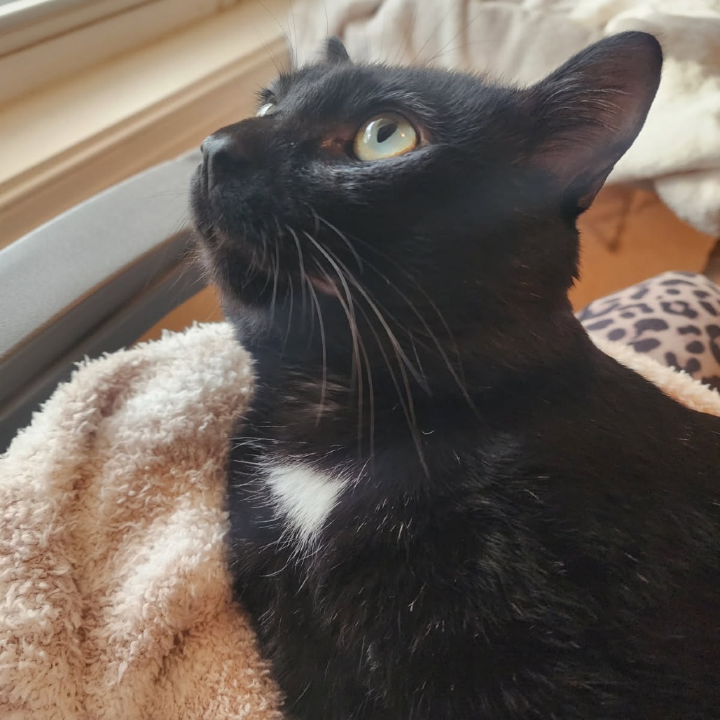 Winnie — thumbnail 3