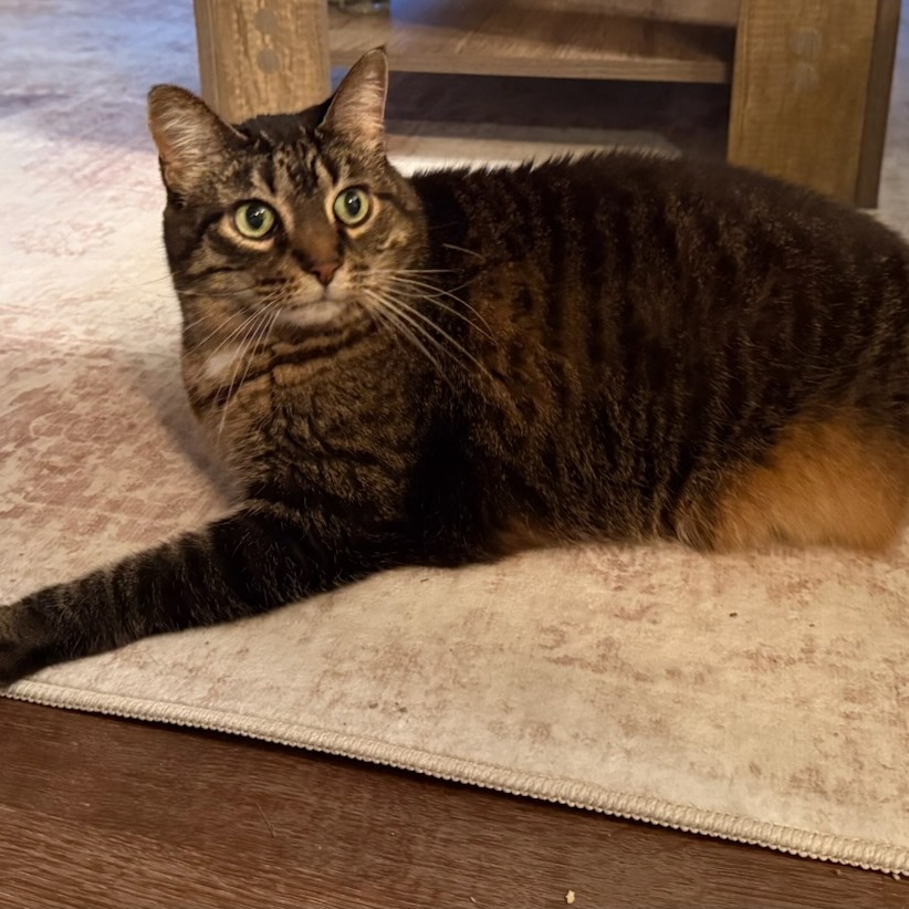 Presley--In Foster, photo 7