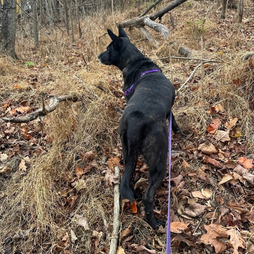 Photo of Catalina 20