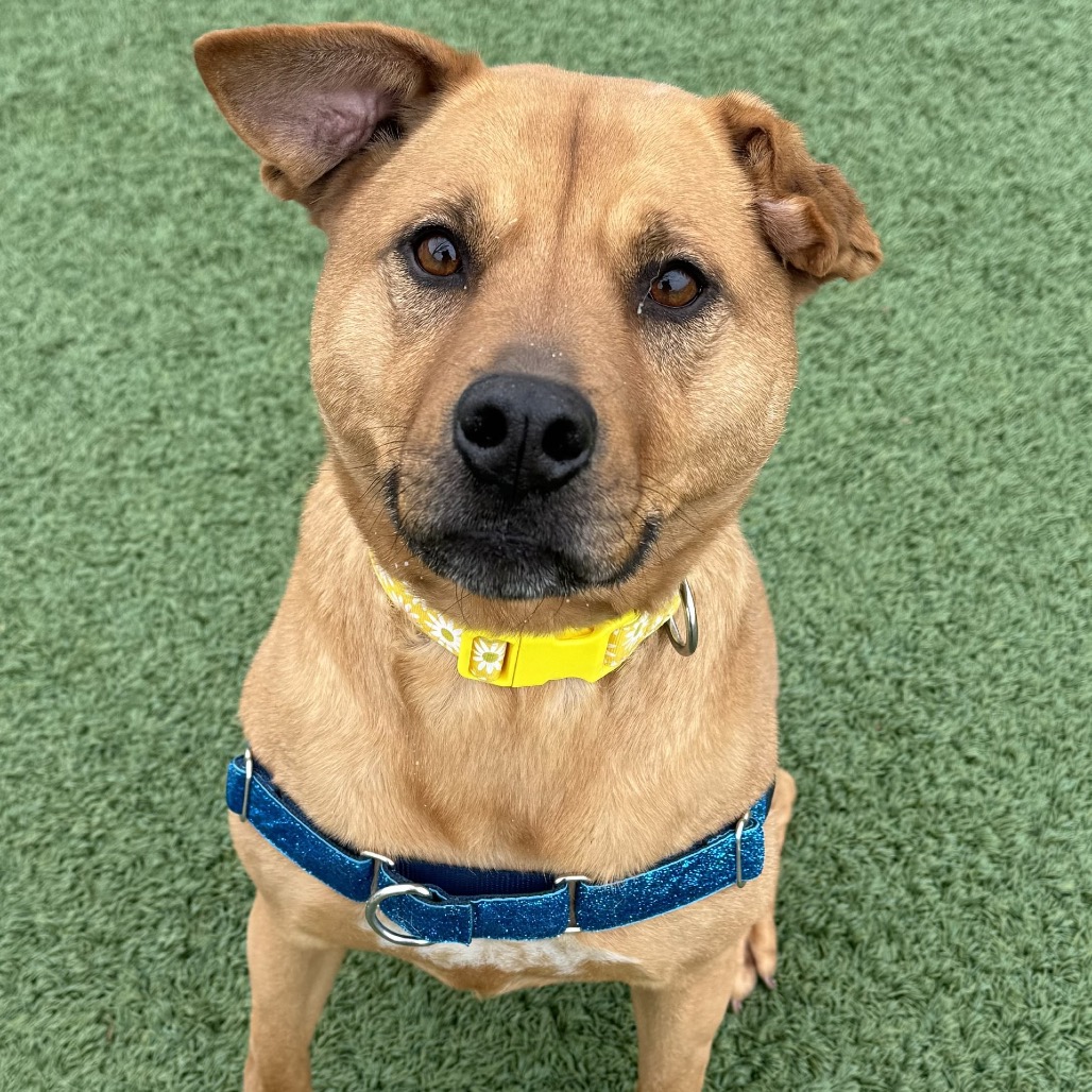 Winnie — thumbnail 10