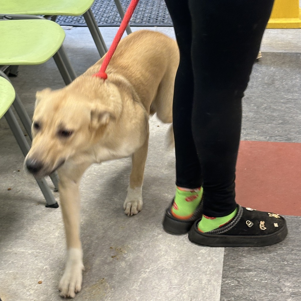 Storm — thumbnail 2