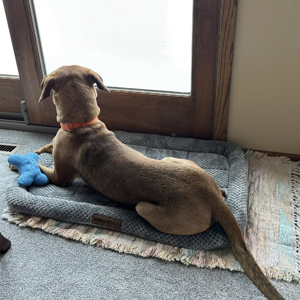 Solana -- In Foster, photo 8