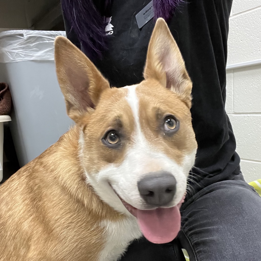 Shadow — thumbnail 3