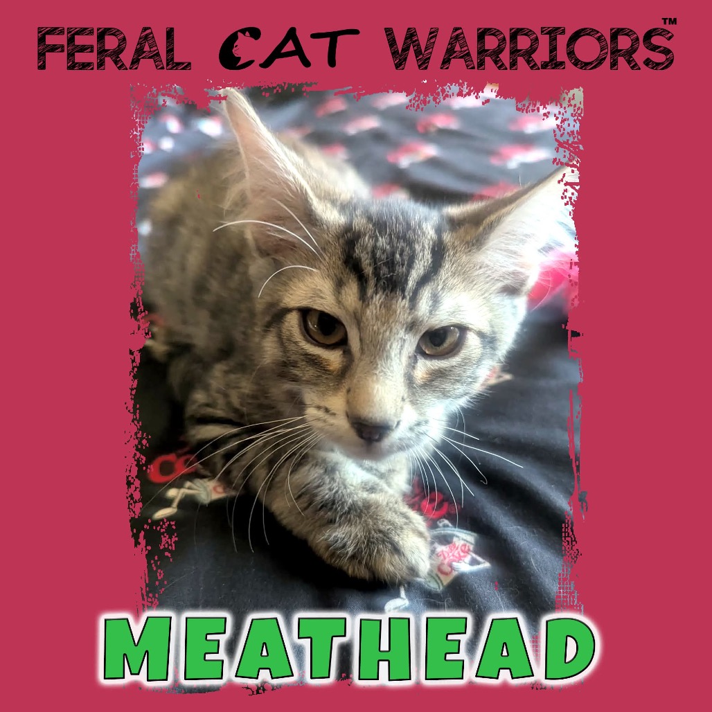 Meathead 