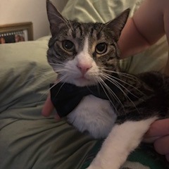 Carl, photo 13