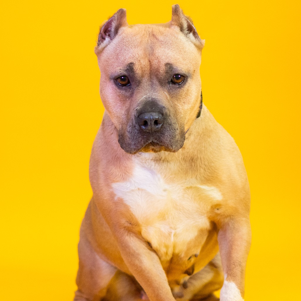 Lulu, additional photo