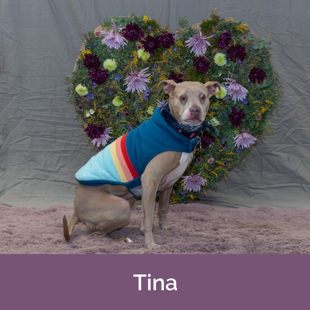 Tina