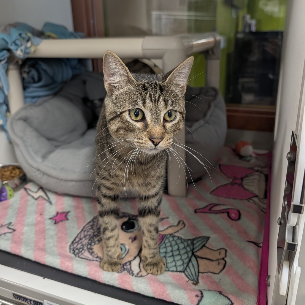 Ecko, photo 9