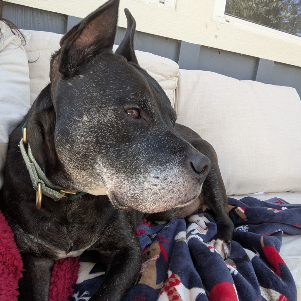 Zeus, additional photo