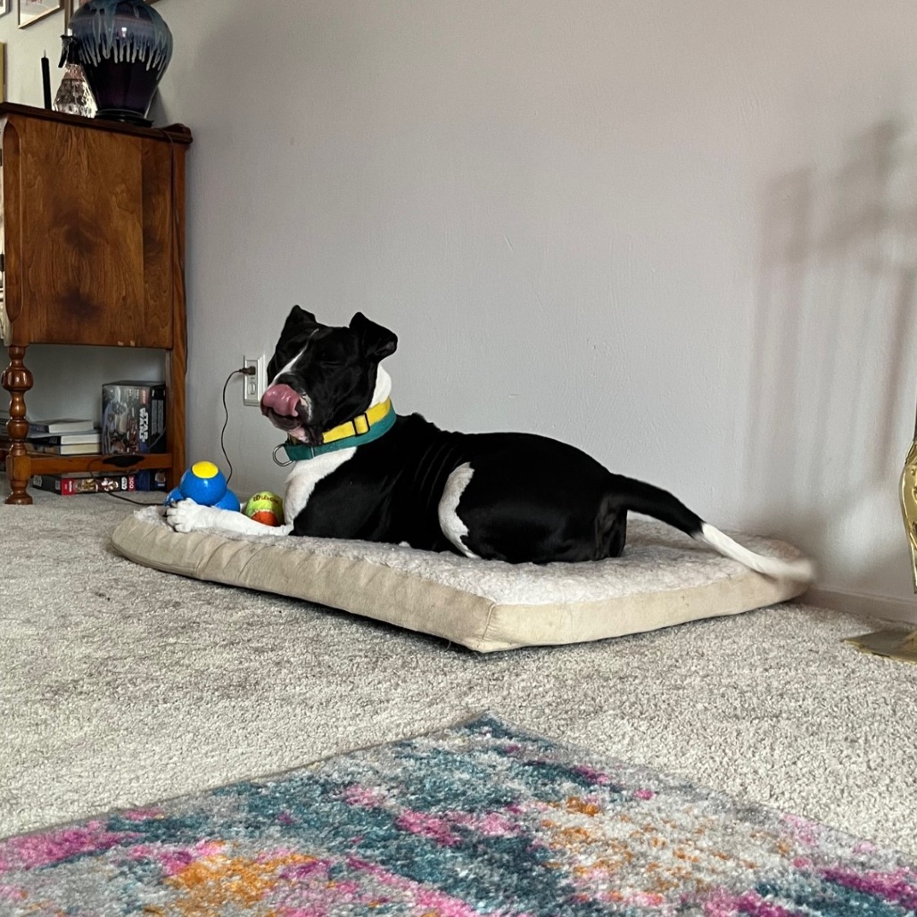 Photo of Zibby 18
