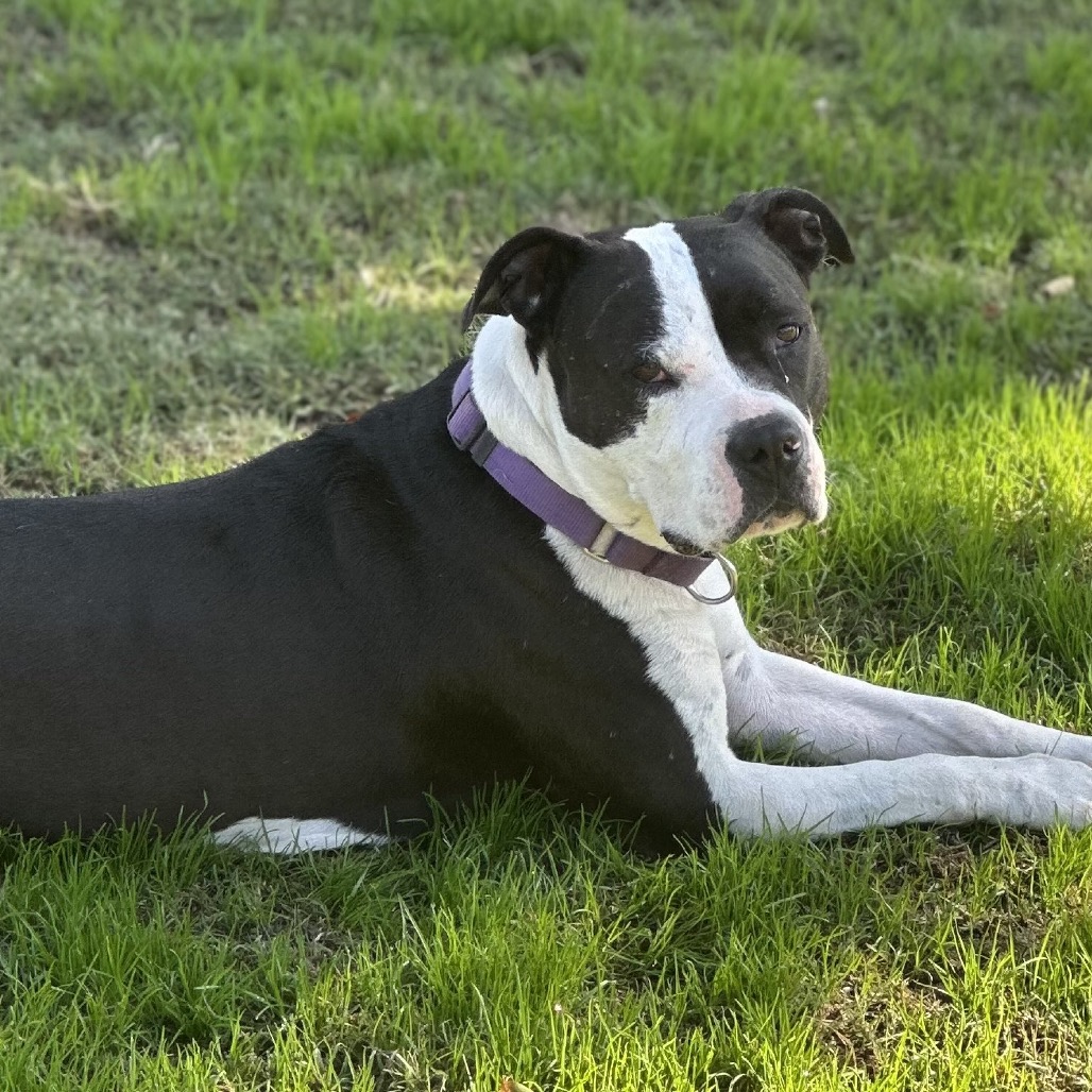 Sophia, photo 27