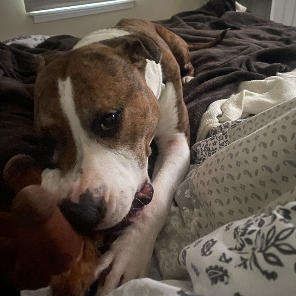 Jax, additional photo