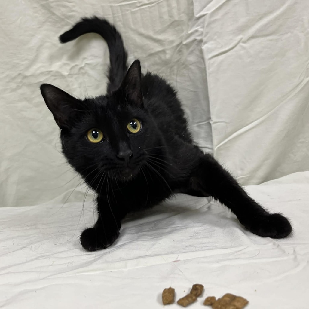 Aura — thumbnail 2