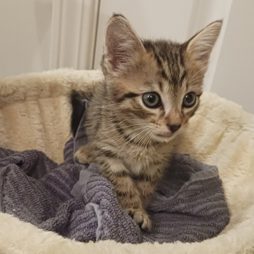 Marley — thumbnail 2