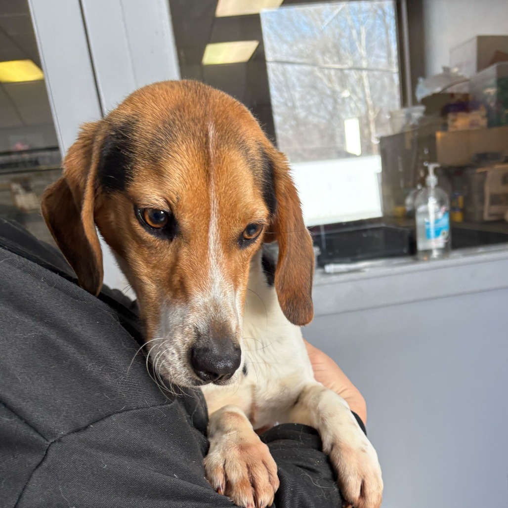 Buster — thumbnail 2