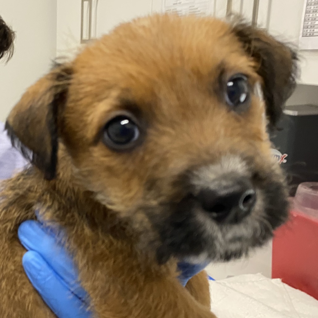 Colby — thumbnail 2