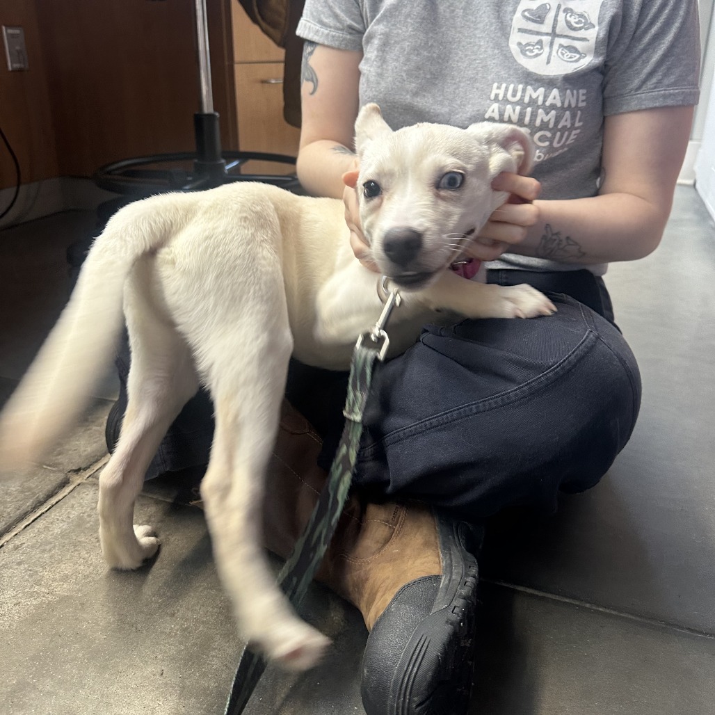 Photo of Squirrel  3