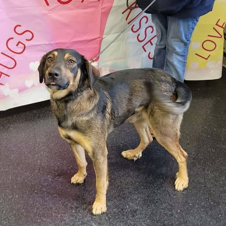 Toby — thumbnail 3