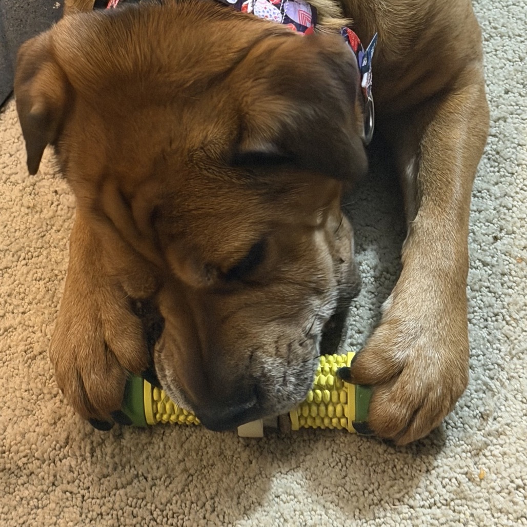 Zoey, photo 30