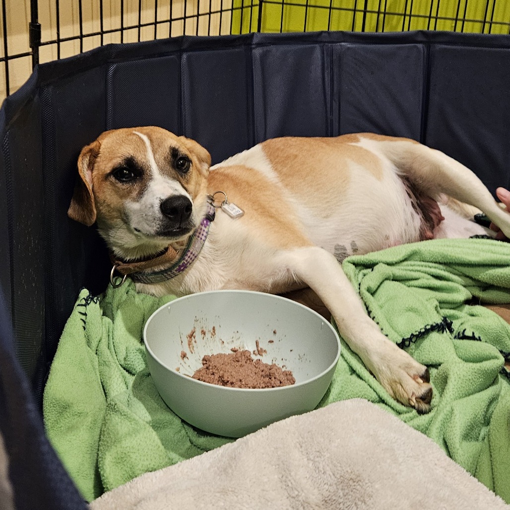 Katy — thumbnail 2