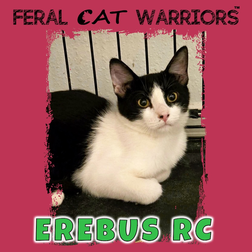 Erebus RC
