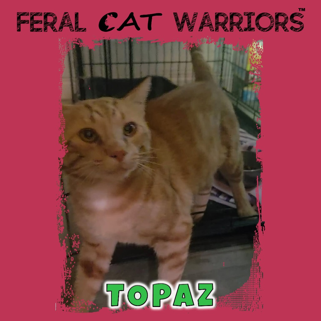 Topaz