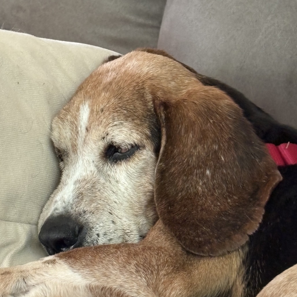 Mildred, photo 12