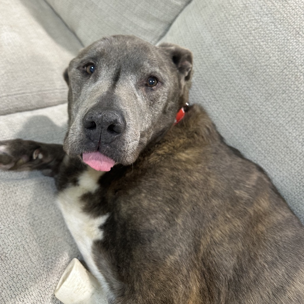 Walter, photo 8