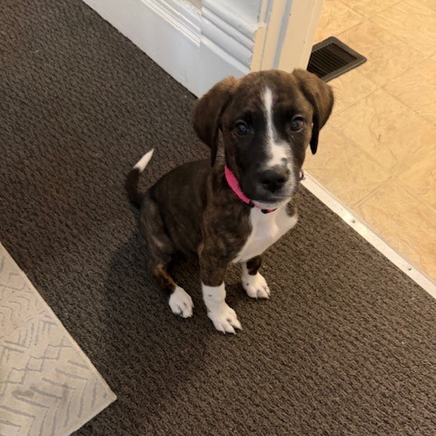 Winnie — thumbnail 3