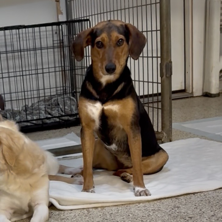 Mae West — thumbnail 3