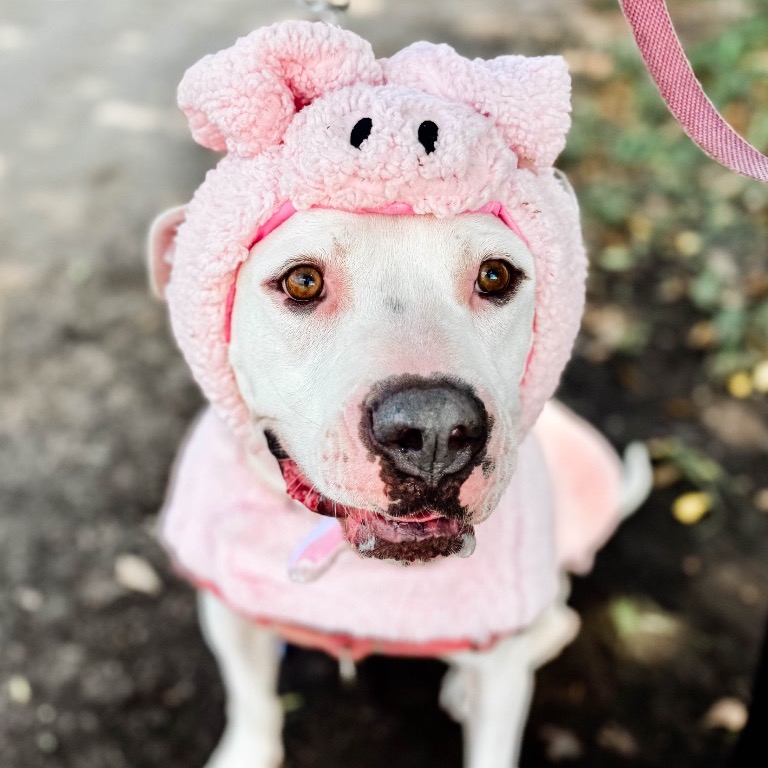 Image of Cooper looking at the camera