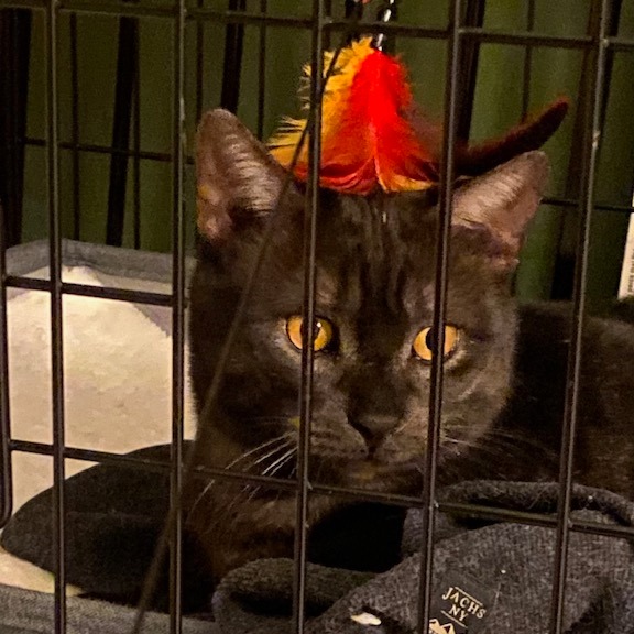 Oberon — thumbnail 3