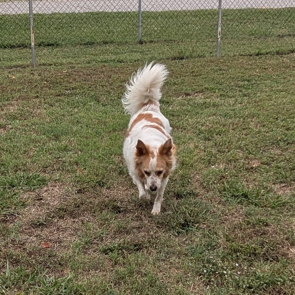 Sandy photo 13