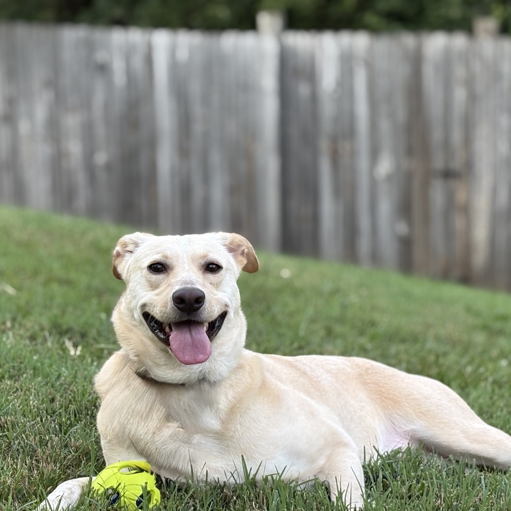 Butter, photo 24